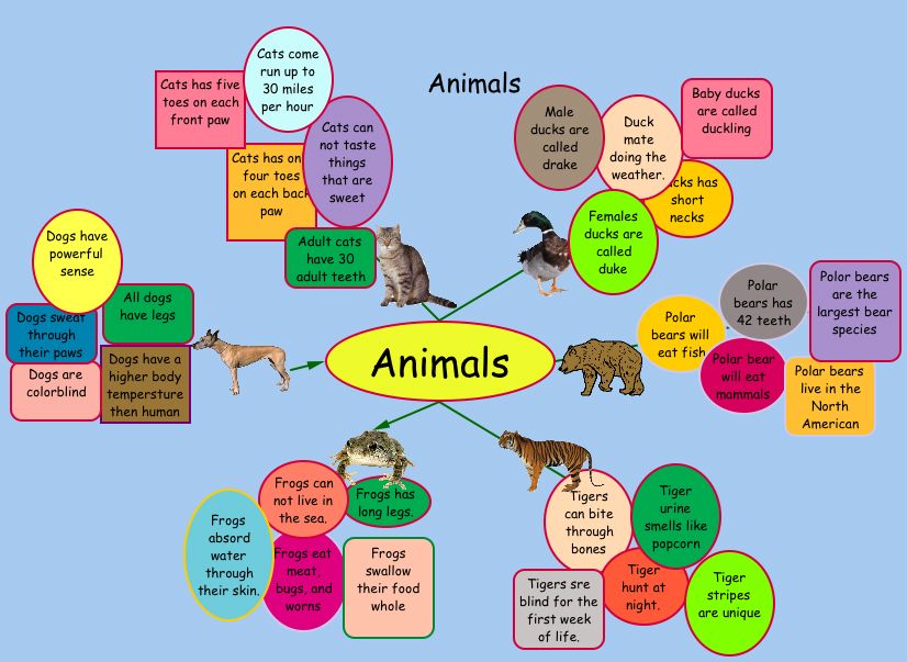 All About Any Animal Graphic Organizer  Graphic organizers, Animal  graphic, Science lessons